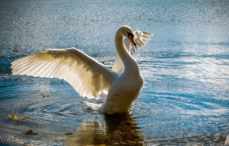 DSC_0138 - Versión 2 -3copia 2.jpg